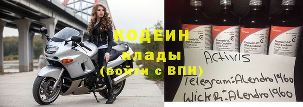 гидра Богородицк