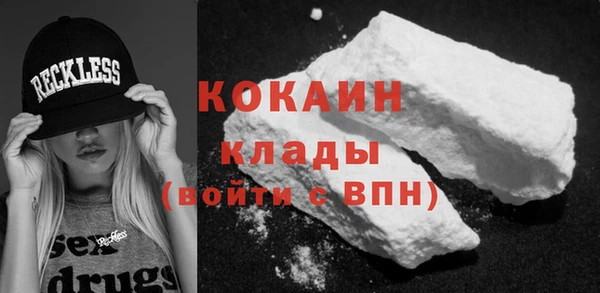 индика Богданович