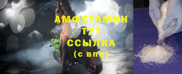 индика Богданович