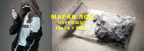 сатива Няндома