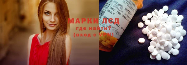 гидра Богородицк
