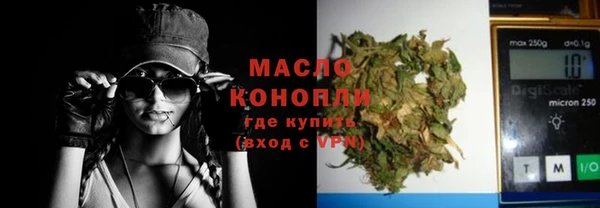гидра Богородицк
