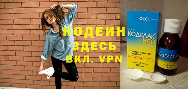 индика Богданович