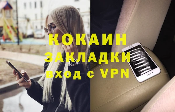 молекула духа Арсеньев