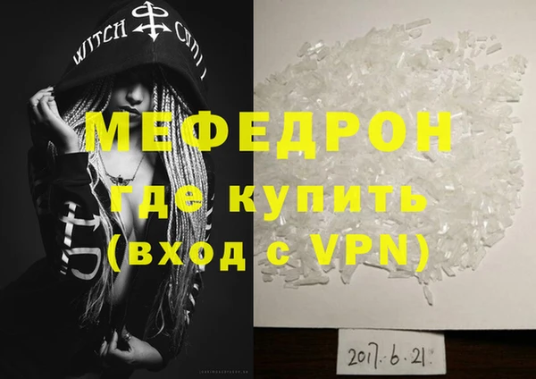 индика Богданович