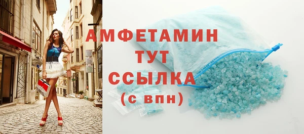 гидра Богородицк