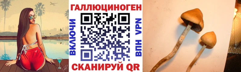 как найти наркотики  Спасск-Дальний  Галлюциногенные грибы GOLDEN TEACHER 