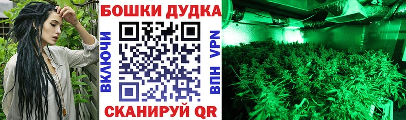 Бошки марихуана семена  MEGA tor  Спасск-Дальний 
